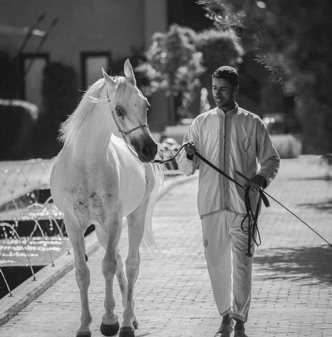 Selman Marrakech Hotel Marrakesh