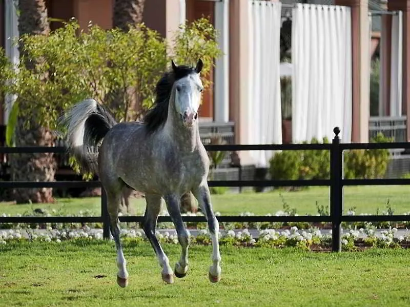 Selman Marrakech Hotel Marrakesh 5*,